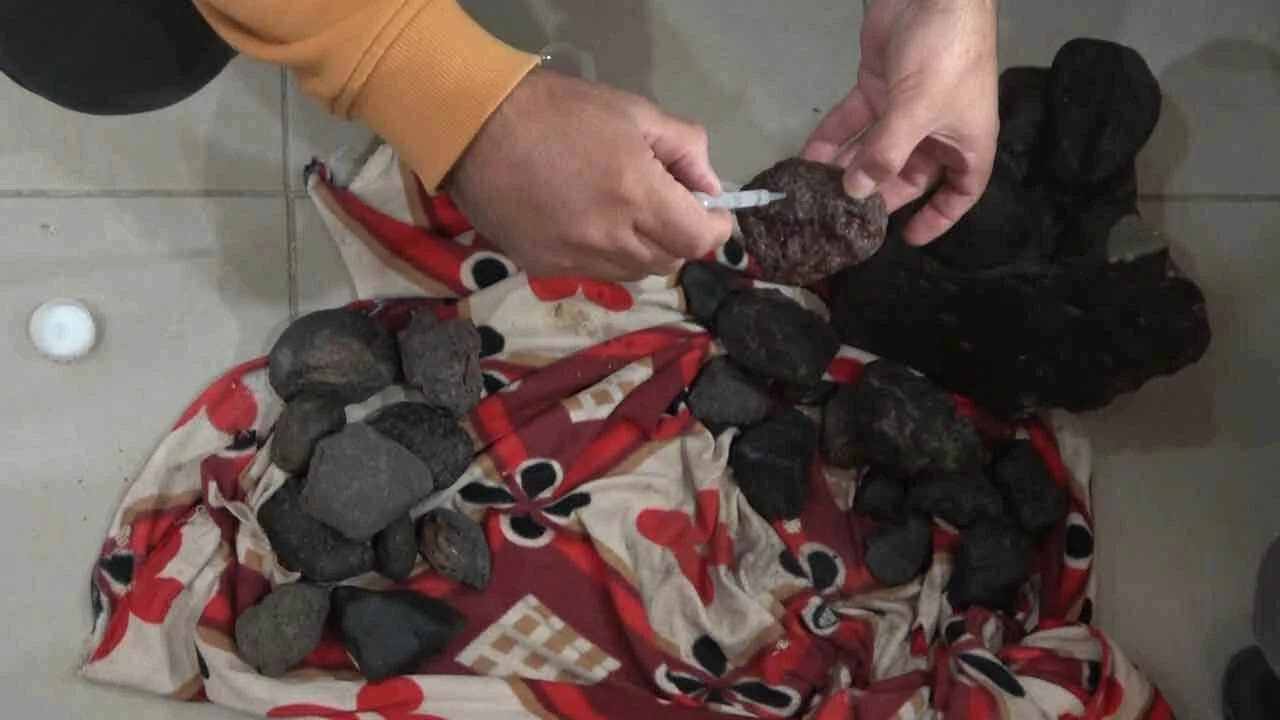 Mantar toplamaya çıktı, hayatı değişti! Tam 20 adet buldu... Her biri milyon değerinde