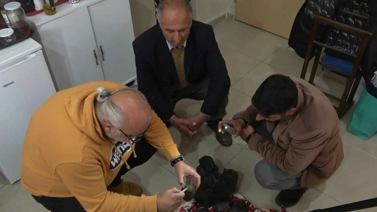 Mantar toplamaya çıktı, hayatı değişti! Tam 20 adet buldu... Her biri milyon değerinde