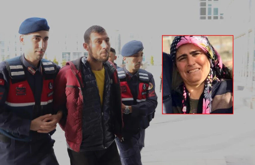 Kamerada yola sıçrayan kedi katili ele verdi, polis bile şoke oldu