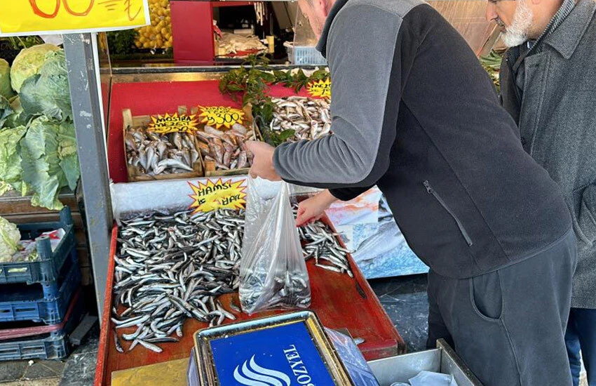 Hamsi 60 TL, mezgit 150 TL, istavrit 80 TL… Balık tezgahlarında son durum ne? (22 Kasım 2023)  