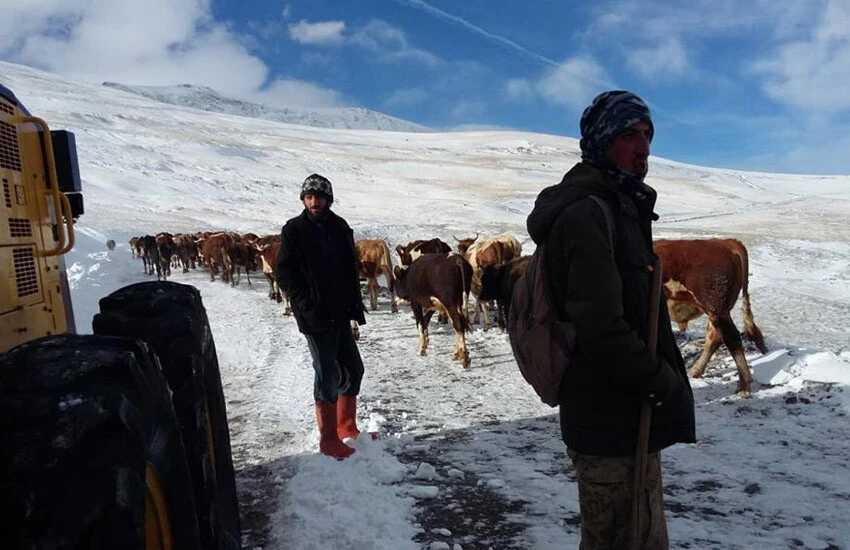 İl Özel İdare ekipleri Bayburt'ta göçerlere yardım etti.