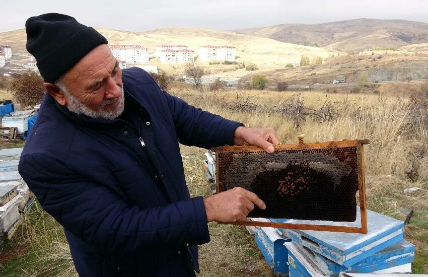 Arıcılık sektörü tehdit altında: 15 bin kovan hasar gördü!