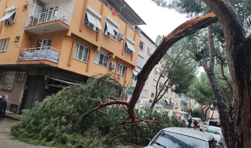 Sürücü neye uğradığını şaşırdı: Kopan ağaç dalı otomobilin üzerine düştü
