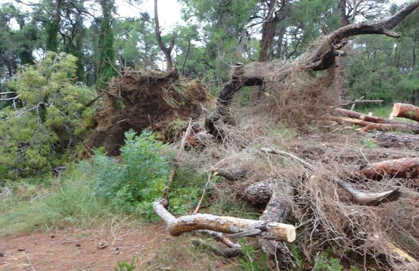 Antalya'da meydana gelen hortum büyük zarara neden oldu.
