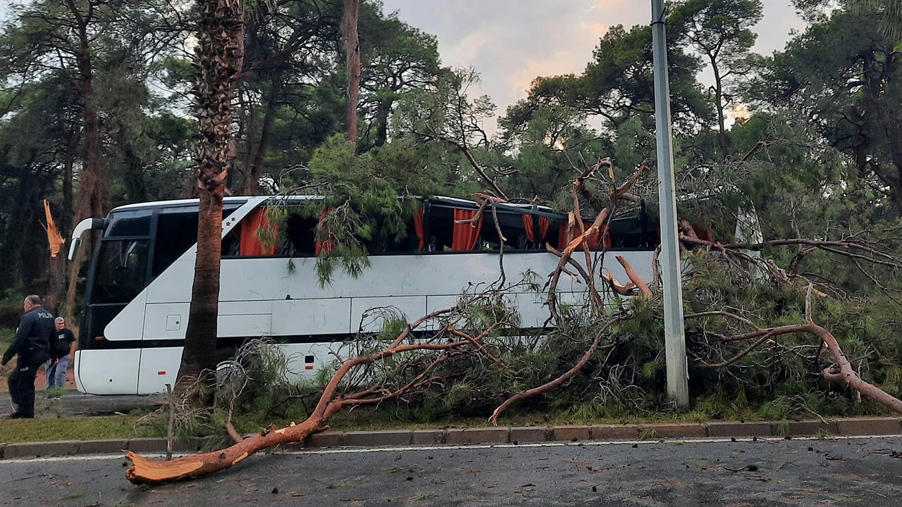 Antalya&#039;da fırtınada devrilen ağaç işçi servisinin üzerine düştü: 7 yaralı