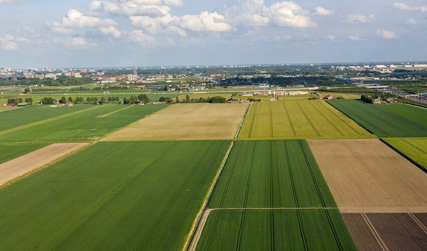Yatırımcı konuttan vazgeçti, arsa ve tarla satışları tüm zamanların rekorunu kırdı