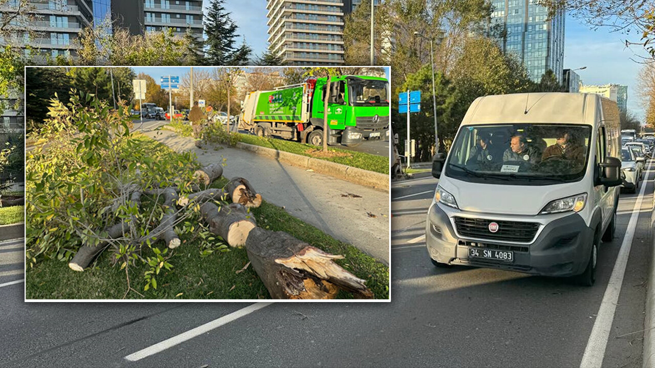 Ağaç devrildi, Bakırköy&#039;de sahil yolu kilitlendi!