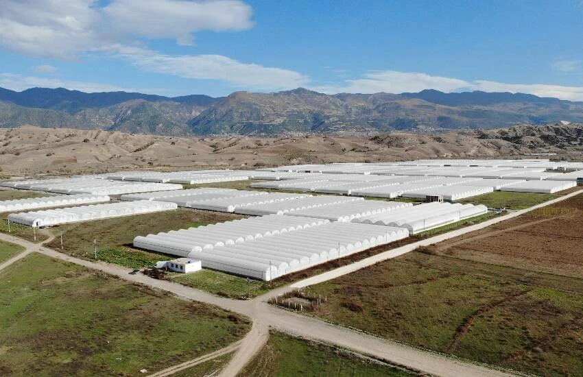 Çiçek serası binlerce insana ekmek kapısı oldu: Renk cümbüşü milyonlar kazandırdı!