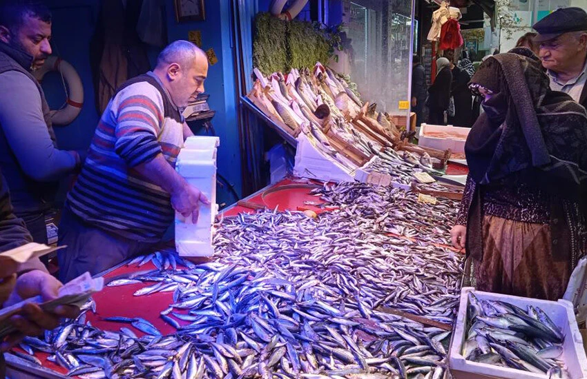 Hamsinin kilosu 50 lira birden düştü.