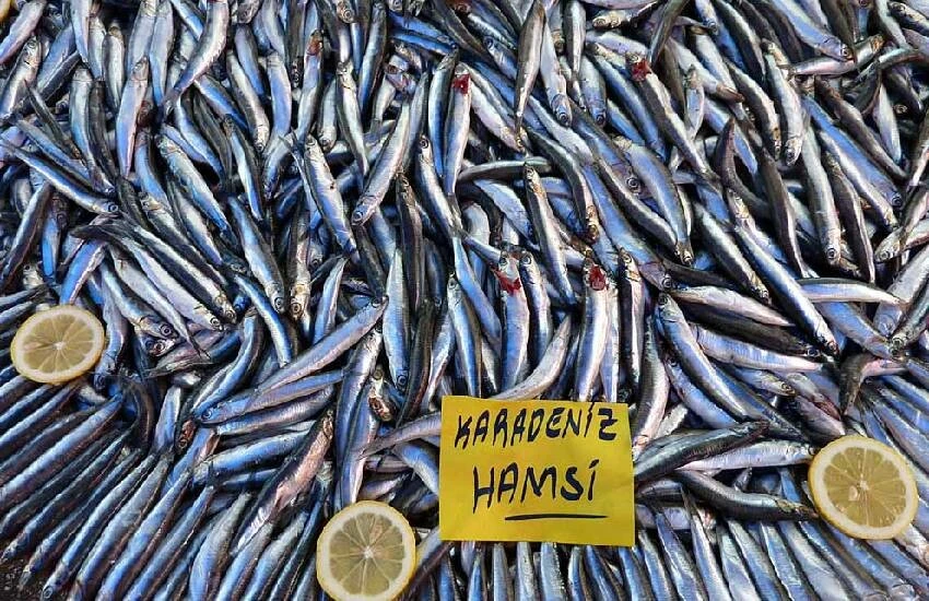 Hafta sonu hamsi fiyatı dibi gördü, vatandaş metrelerce kuyruk oluşturdu