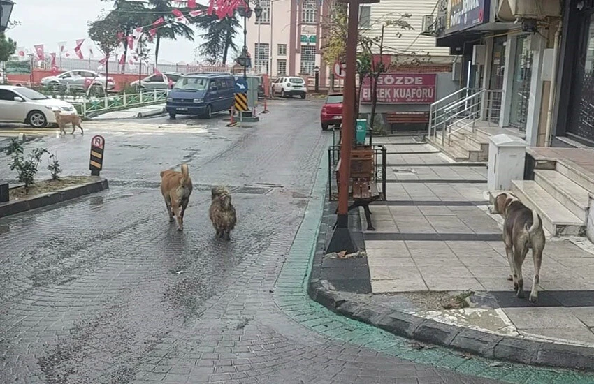 Marmara'daki depremden ürküten anlar: Kaçış anı güvenlik kameralarında