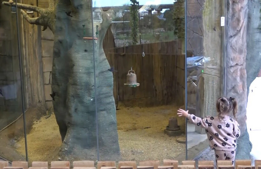 Karadeniz ve Dünya'da ilk olma özelliği taşıyor, ziyaretçi akınına uğruyor