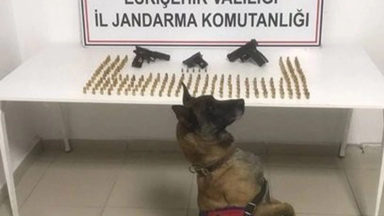 Rize'den Eskişehir'e getirilen silah ve mermiler ele geçirildi