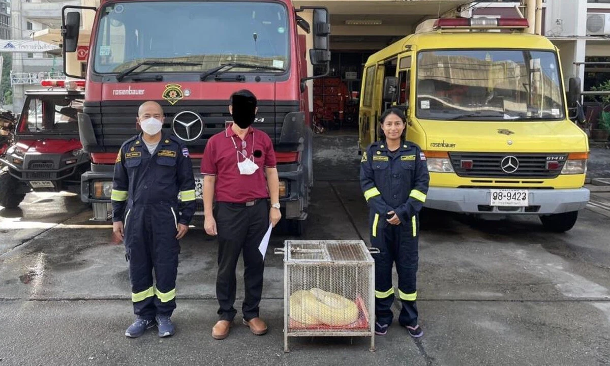 Evinde beslediği dünyanın en büyük yılanı ülkeyi paniğe sürükledi: Ekipler peşine düştü