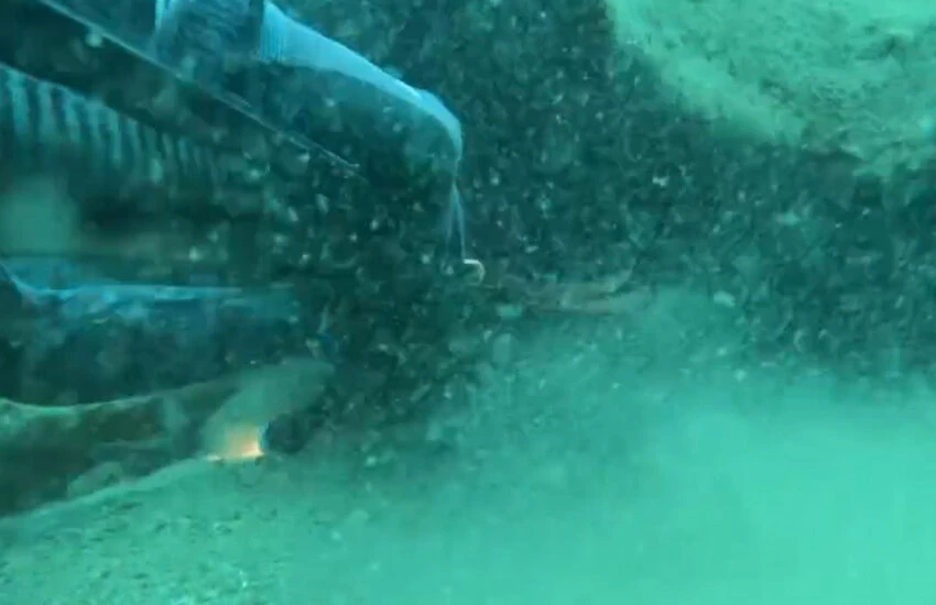 Depreme denizin içinde yakalandı, korku dolu anları anlattı