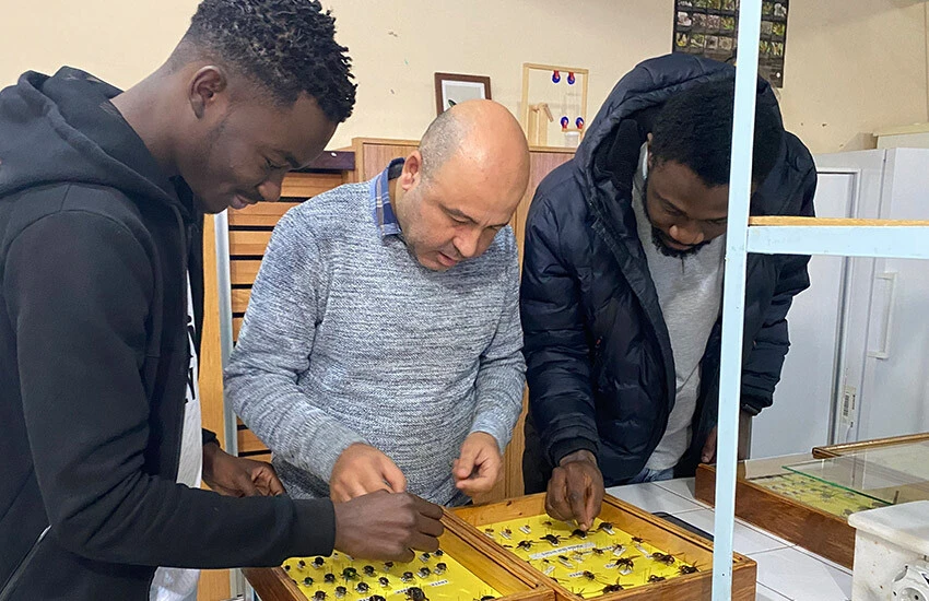 Bilim dünyasını heyecanlandırıyor! Türkiye'de yeni bir tür keşfedildi: İsmi Medon Turcicus