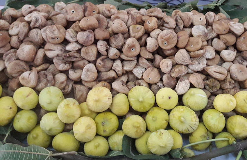 Kuru incir ihracatta yüzleri güldürdü: 2 ayda 90 milyon dolar...