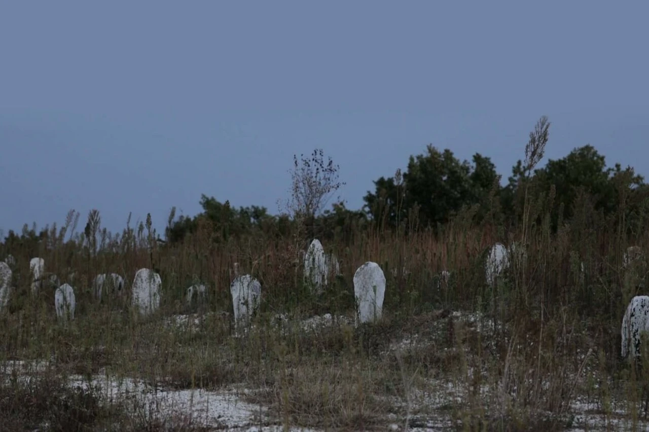Tasarı kabul edildi ama somut adım yok: Göç rotaları adsız mezarlarla dolu