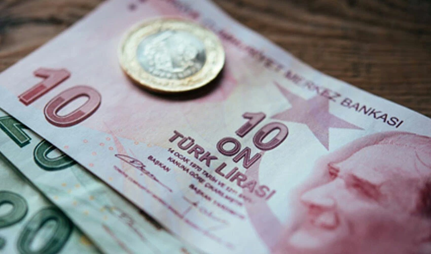 Merkez Bankası ekonomistlerinden çarpıcı Türk lirası analizi