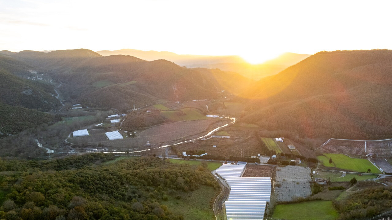 Alova Farm yaban mersini üretiminde ABD merkezli Fall Creek ile iş birliği yapıyor