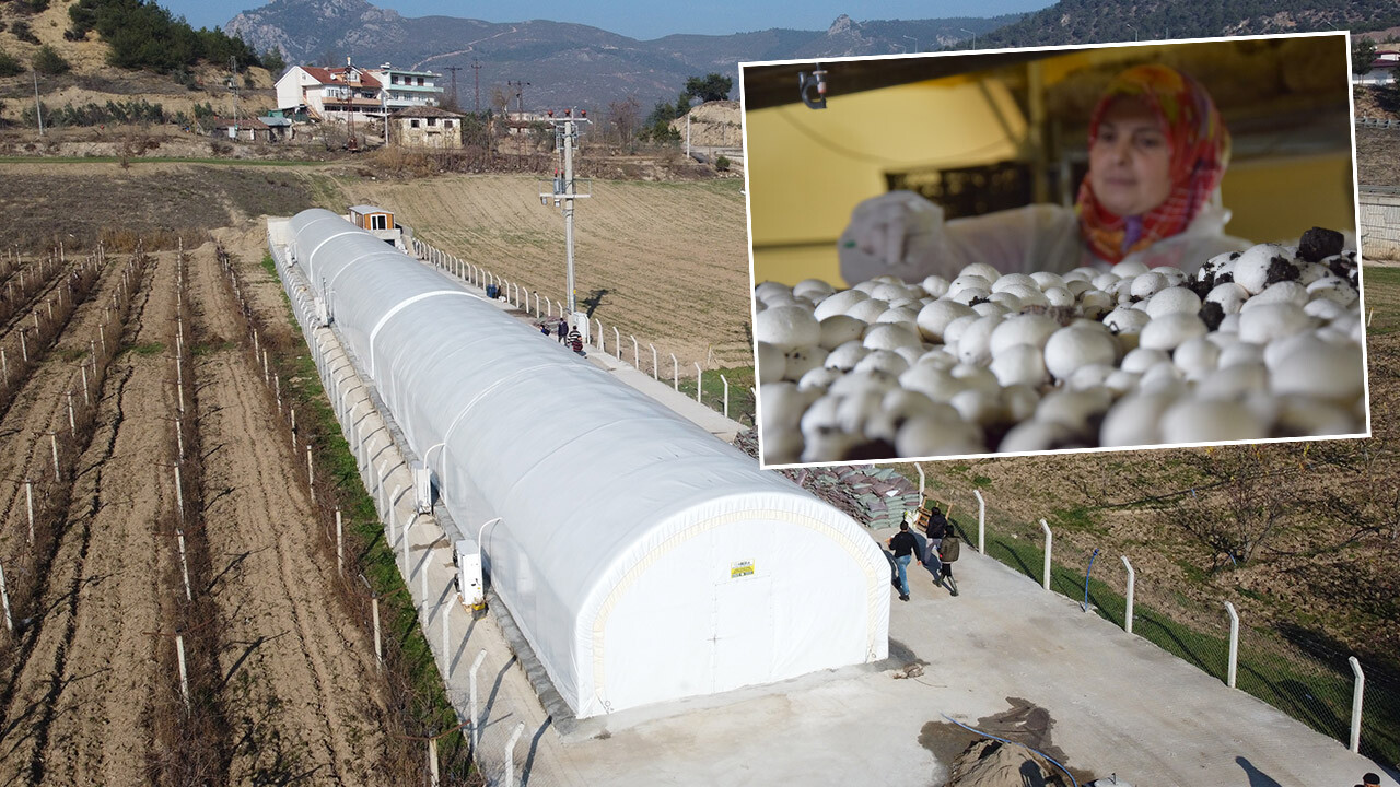 Siparişlere yetişemiyor! Devlet desteği ile 100 ton üretim kapasitesine ulaştı