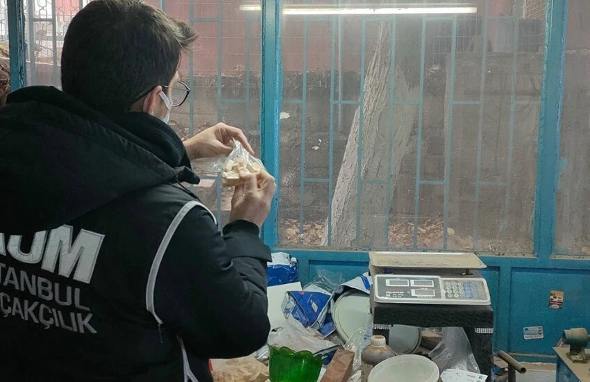 İstanbul’da bir dükkana baskın: Fildişi, antilop, mamut ve geyik boynuzları ele geçirildi