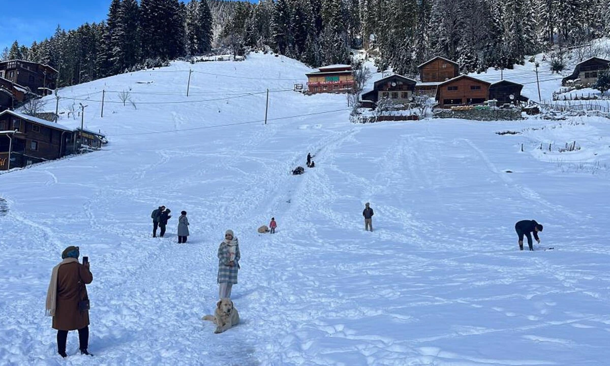 Ülkenin doğusu kara teslim: Her yer buz kesti