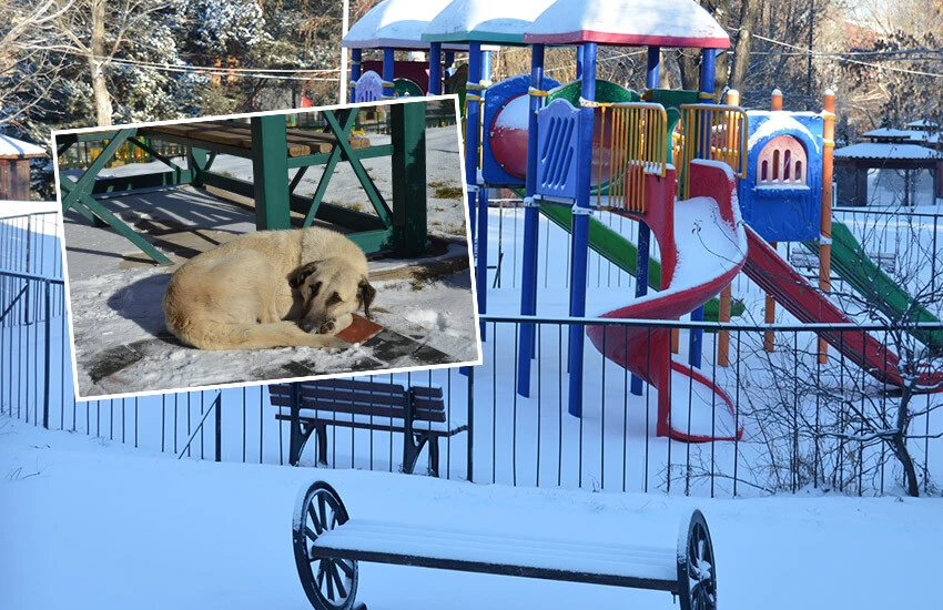 Erzurum'da dondurucu soğuklar etkili oluyor. Erzurum'da kaldırımlar, şadırvanlar, araç camları buz tuttu.