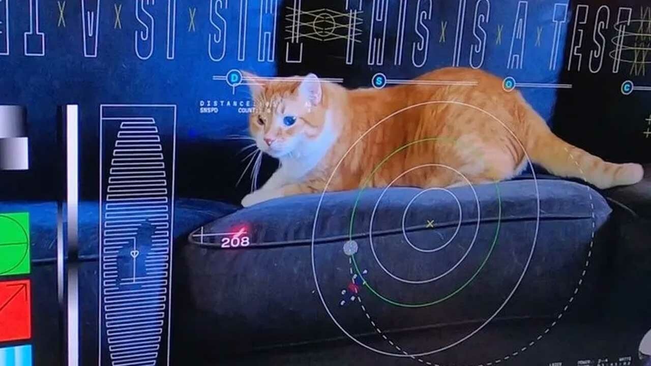 31 milyon kilometreden kedi videosu… NASA’dan akılalmaz çalışma