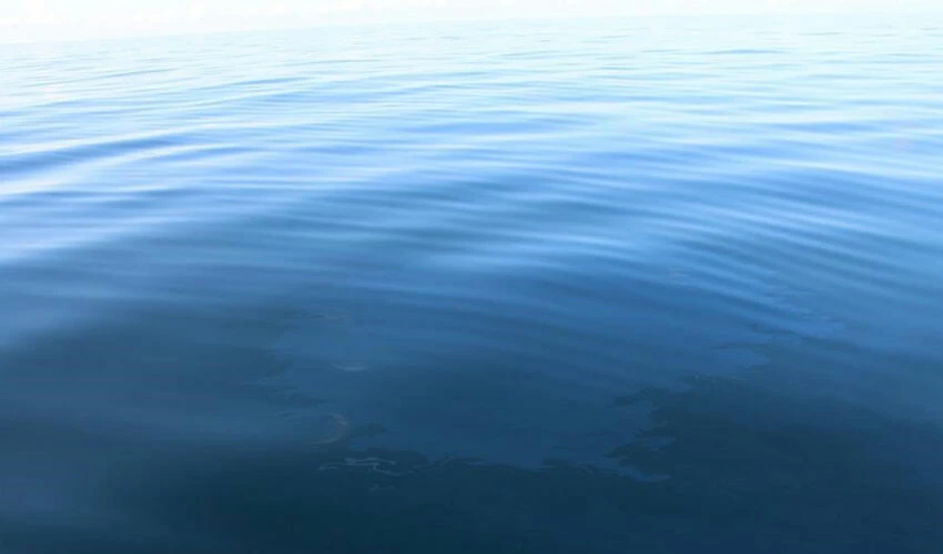 100 yıllık rüya gerçek oldu! Karadeniz'de petrol varlığı kanıtlandı