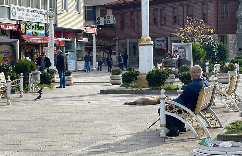 Karadeniz'de gazdan sonra petrol sevinci: Yöre halkı heyecanlı, Osmanlı döneminden beridir varmış