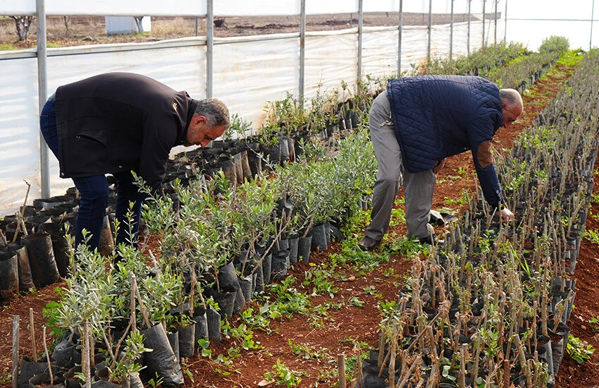 Emekli imam hayalini gerçekleştirdi! 6 kişiyle çalışıyor, siparişlere yetişemiyor
