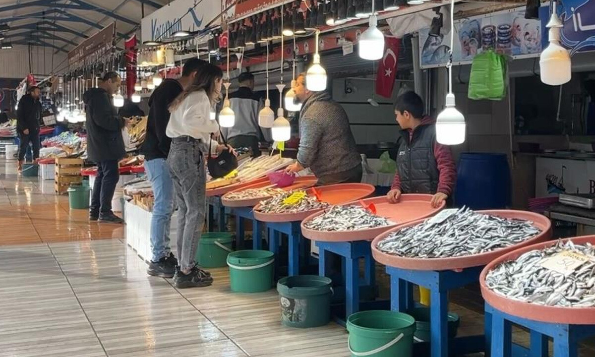 Büyük balık küçük balığı yiyemedi: Bolluk fiyatlara yansıdı, hamsinin kilosu 70 TL&#039;ye düştü