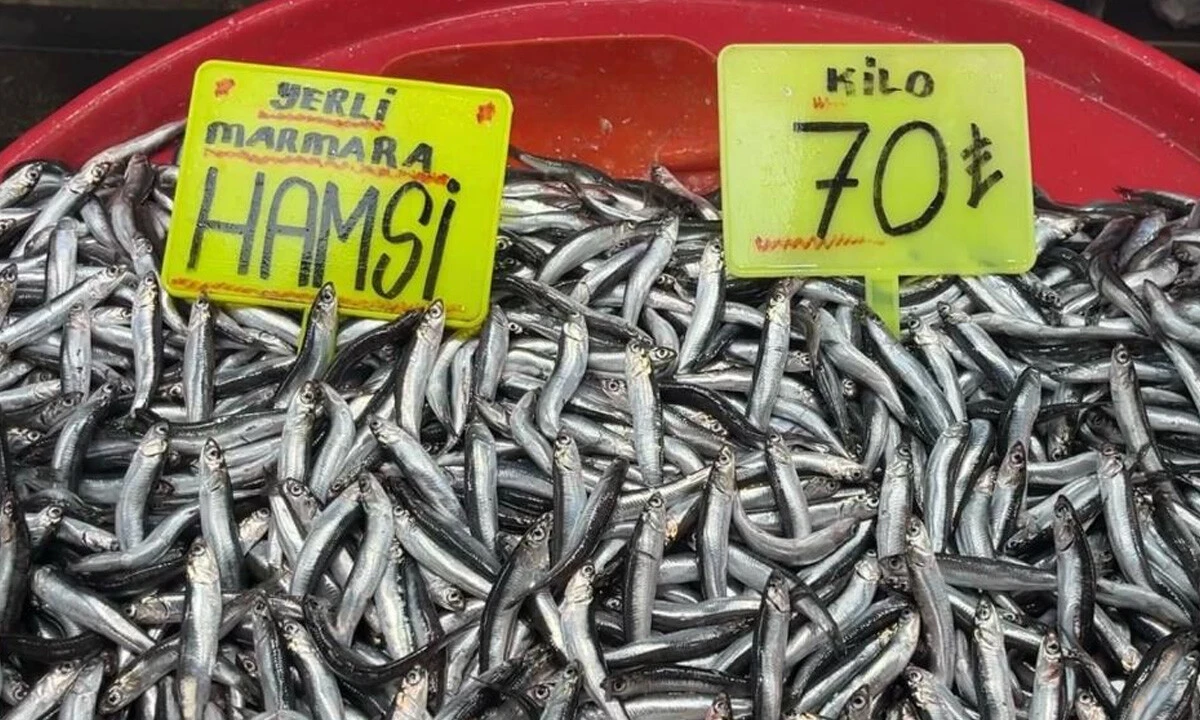 Büyük balık küçük balığı yiyemedi: Bolluk fiyatlara yansıdı, hamsinin kilosu 70 TL'ye düştü