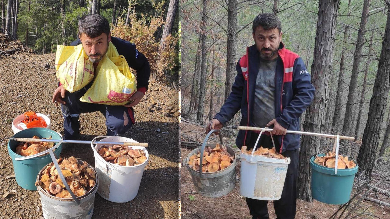 Ormandan topladığı mantarları satıyor, aylık kazancı 90 bin lira…