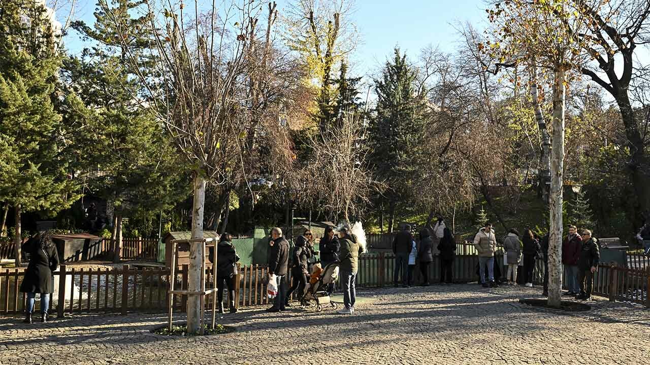 Yılın son günü yaz havasında geçecek! Güneş yüzünü göstermeye devam ediyor... (31 Aralık Pazar il il hava durumu)