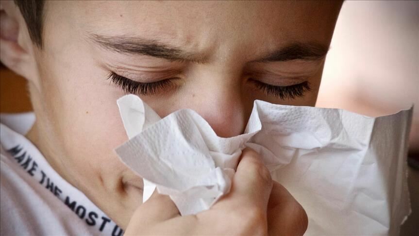 Domuz gribi nedir, nasıl bulaşır? Domuz gribi influenza mı? H1N1 virüsü nedir?