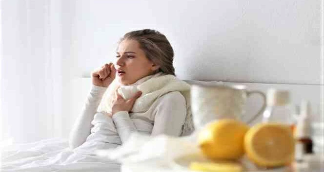 Domuz gribi nedir, nasıl bulaşır? Domuz gribi influenza mı? H1N1 virüsü nedir?