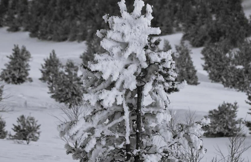 Dondurucu soğuklar geldi, termometreler -30’u gördü!