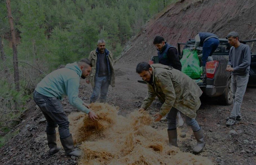 İç ısıtan görüntüler: Karlı dağlar hayvanlar için aşıldı