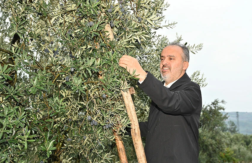 Toprak, Büyükşehir’le bereketleniyor