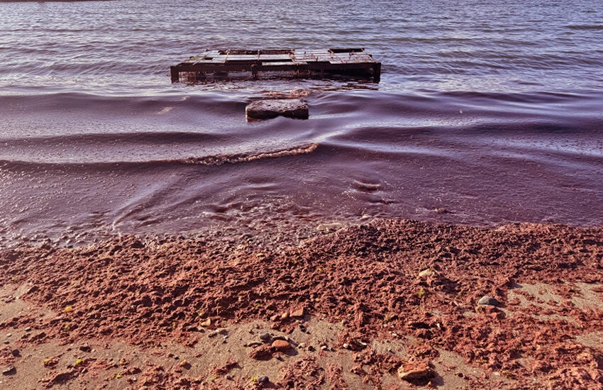 Tekirdağ sahili kırmızıya boyandı! Panik sonrası açıklama