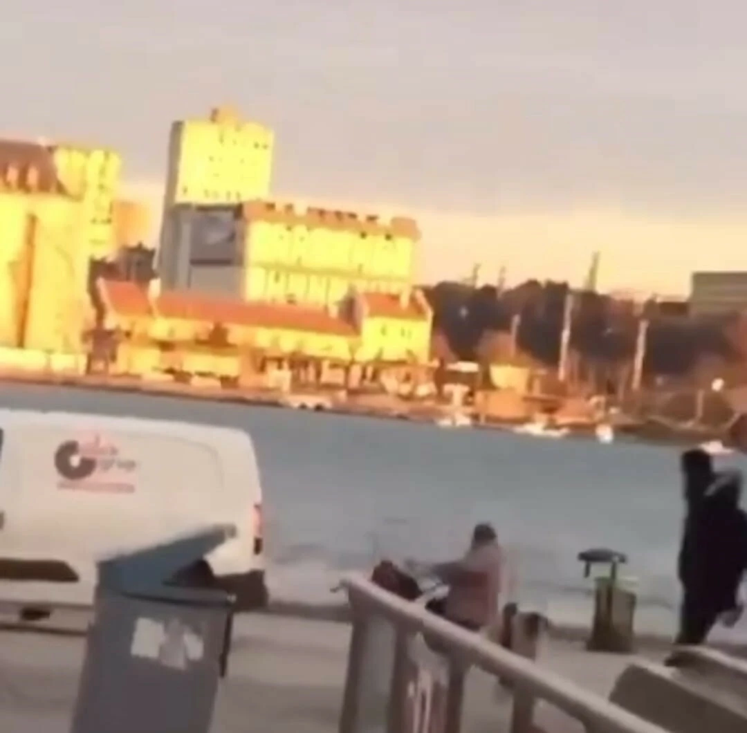 Kadıköy'de korku dolu anlar! Köpekler yaşlı kadına saldırdı