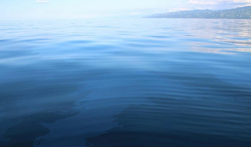 Karadeniz petrolü için umutlar artıyor