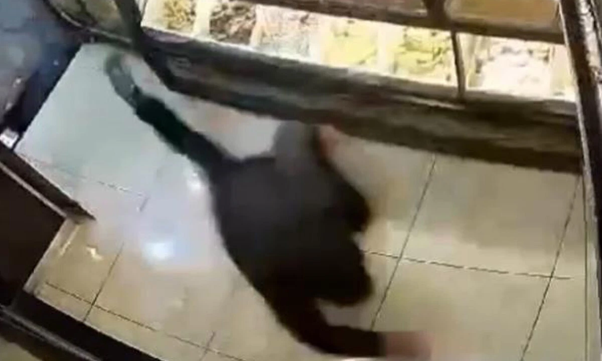 Tatlıcıda dehşet anları kamerada: Silahın namlusunu doğrultup tehditler savurdu