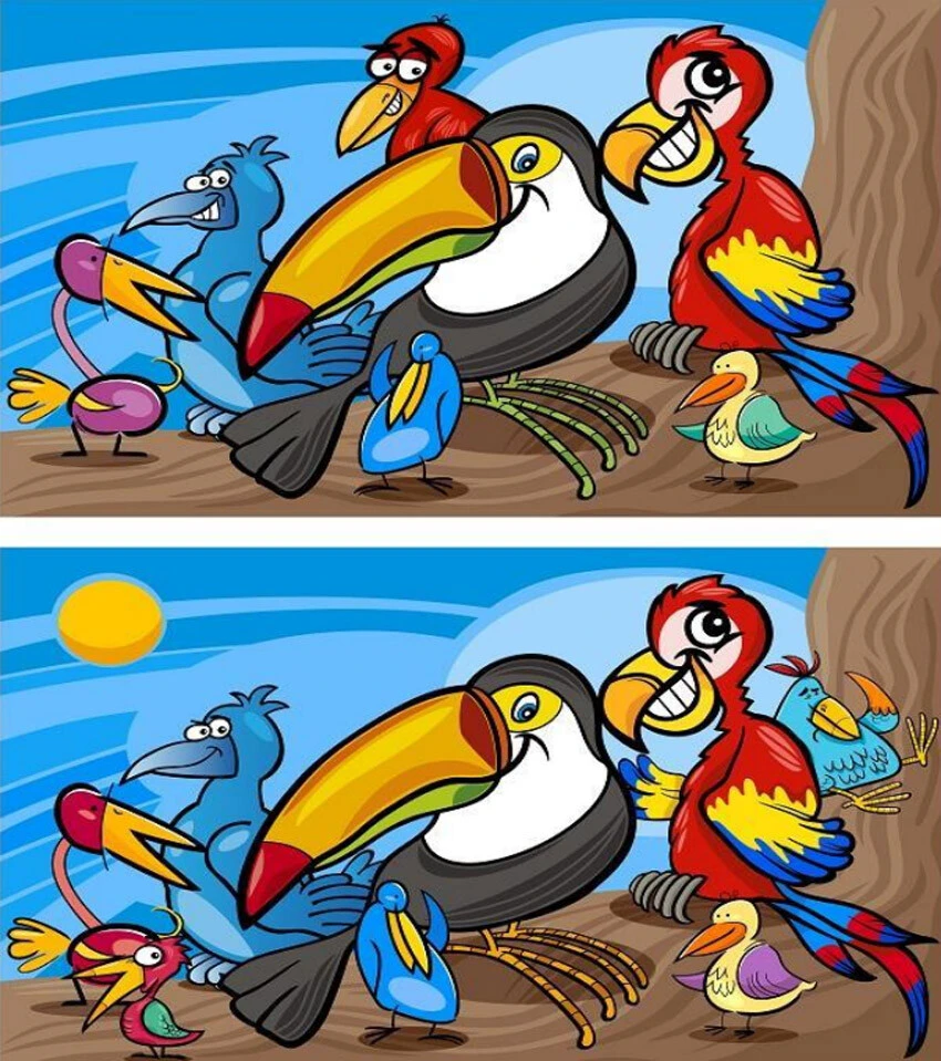 Fark bulma testi: Kuşlar arasındaki 10 farkı 20 saniyede bulan dahi sayılıyor…