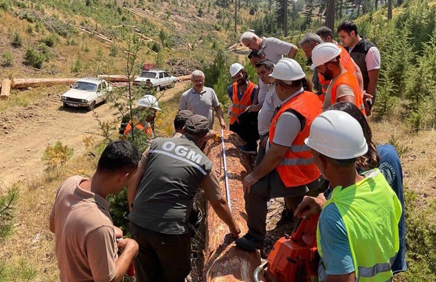 Adana'da ormandan 2.3 milyar TL gelir sağlandı