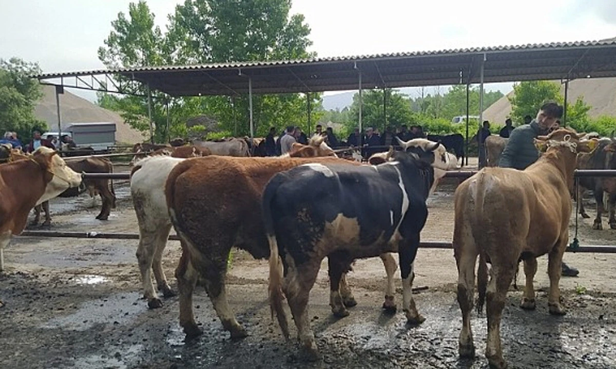 Ekipler alarm verdi, tek tek kapatılmaya başlandı: İkinci bir emre kadar...