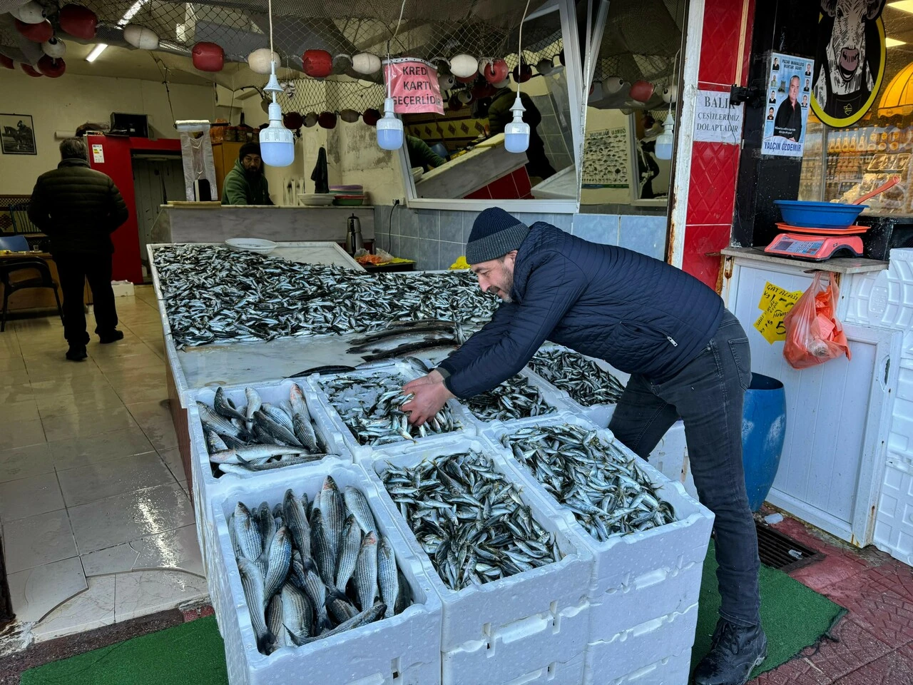 Denizlerin kuru fasulyesi hamsi gitti, istavrit geldi!