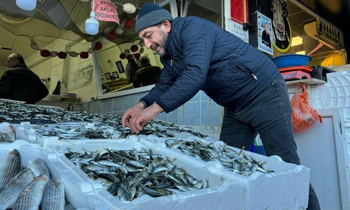 Denizlerin kuru fasulyesi hamsi gitti, istavrit geldi!